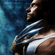 Illustration for article titled Wolverines Box Office Slashes Expectations?